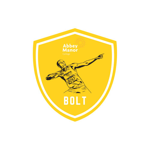 Bolt