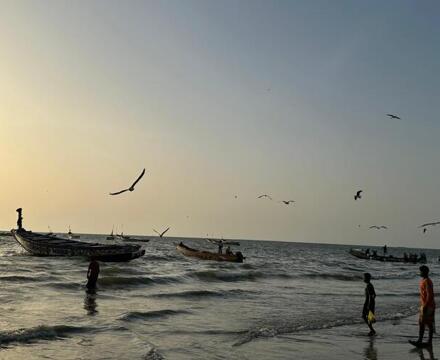 PHOTO 2024 05 08 14 36 56 8 (1)