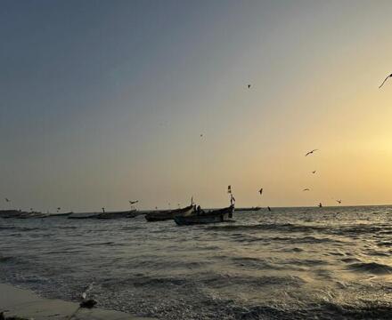 PHOTO 2024 05 08 14 36 56 9 (1)