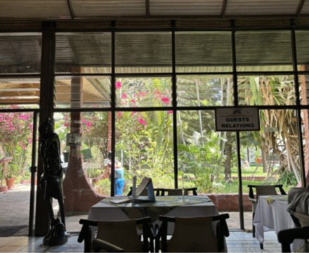 Picture17