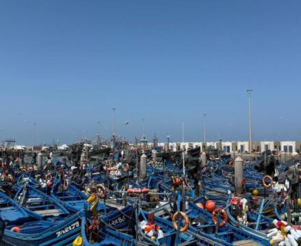 IMG 20250723 WA0016